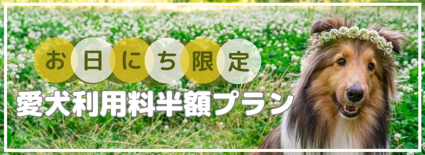 フォトギャラリー